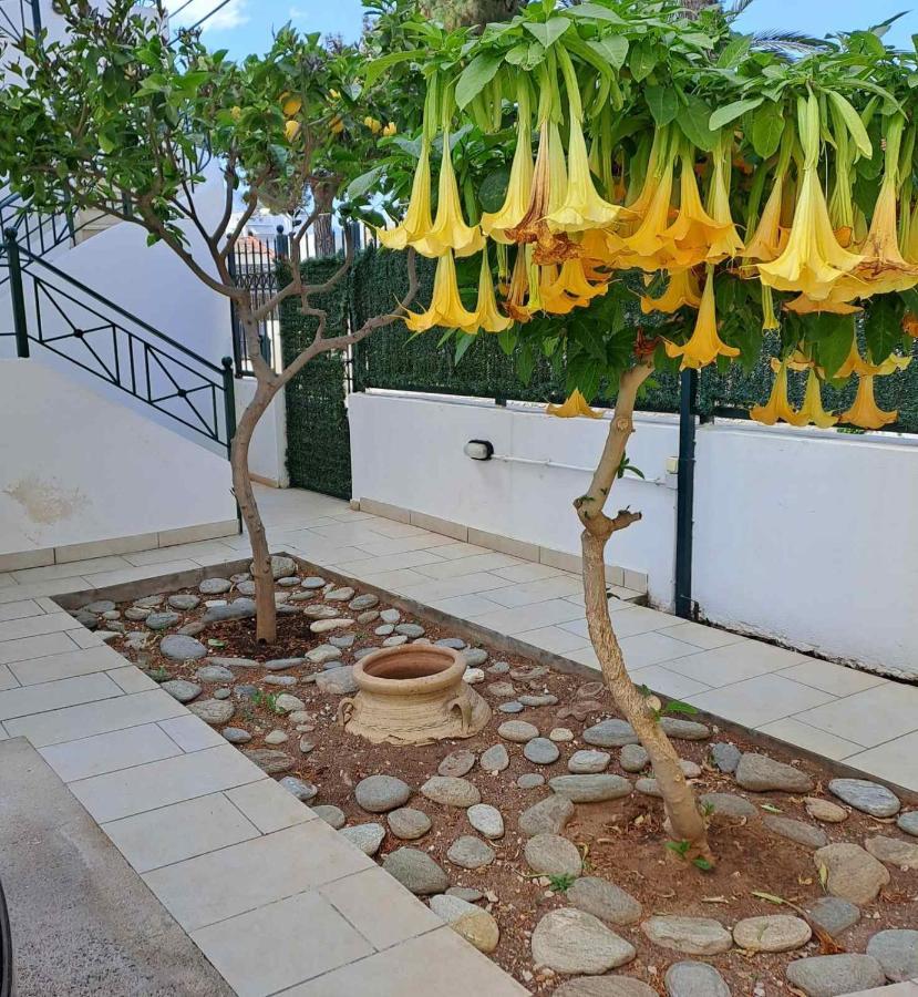 Dimitris Place Near Athens Airport Koropíon Buitenkant foto