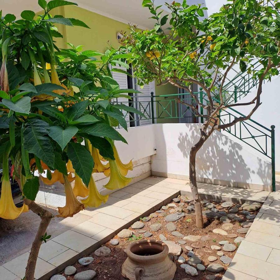 Dimitris Place Near Athens Airport Koropíon Buitenkant foto